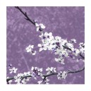 Blossom in Lilac (05074)