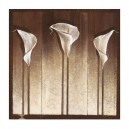 Three Calla Lilies (05091)