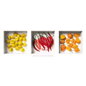 Three Boxes With Chillies And Patissons (01031)