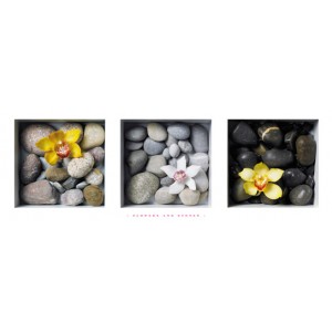 Three Boxes With Stones And Flowers (01032)