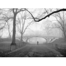 Gothic Bridge, Central Park (08271)