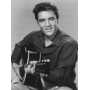 Elvis Presley, Love Me Tender (08283)