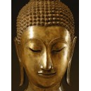 Buddha Sakyamuni (08338)