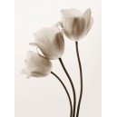 Composition with Three Tulips (08441)