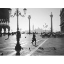 St Mark's Square, Venice (08584)