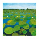 Waterlilies (09831)