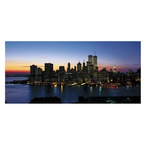 New York Skyline (06046)