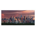 Sunset Over New York (06104)