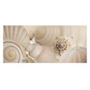 Shells I (06122)