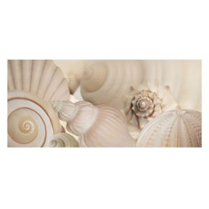 Shells I (06122)