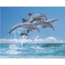 Four Dolphins (06891)