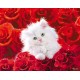 Cat and Roses (07162)