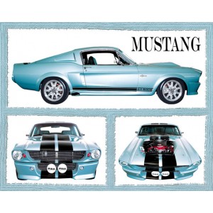 Fabulous Mustang (07163)