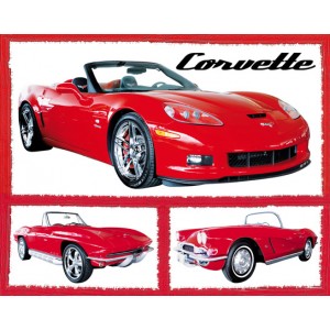 Fabulous Corvettes (07164)