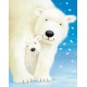 Fluffy Polar Bears (07167)