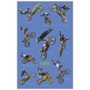 Freestyle Motocross (01358)