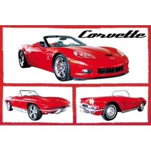 Fabulous Corvettes (01526)