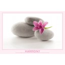 Harmony (01547)