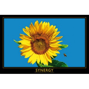 Synergy (01548)