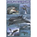 Dolphinworld (03401)