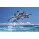 Four Dolphins (03625)