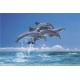 Four Dolphins (03625)