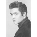 Elvis: Loving You (03727)