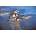 Flight of Two Dolphins (03733)