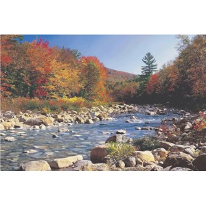 Autumn Brook (03764)