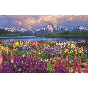 Grand Teton (03765)