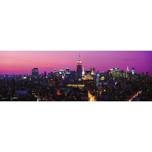 New York Skyline (01714)