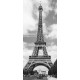 Eiffel Tower (00524)