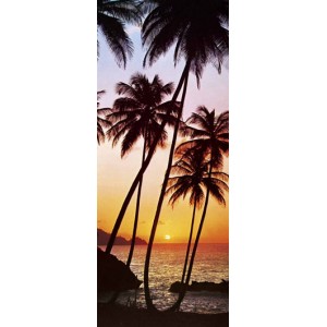 Sunny Palms (00529)