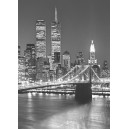 Brooklyn Bridge (00417)