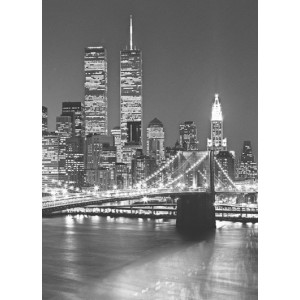 Brooklyn Bridge (00417)