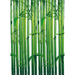 Bamboo (00421)