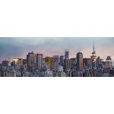 Manhattan Skyline (00370)