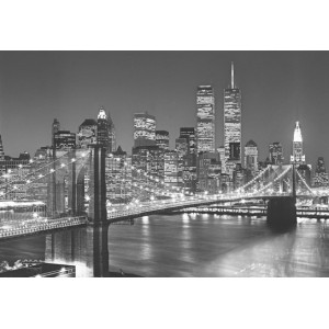 Brooklyn Bridge (00114)