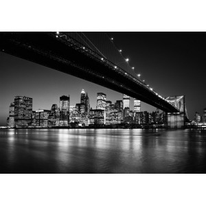 Manhattan Skyline (00119)