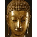 Buddha Sakyamuni (09255)