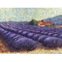 Lavender Fields II (09274)