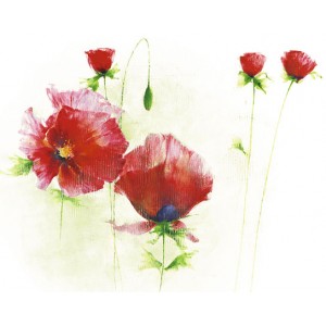 Red Poppies I (09281)