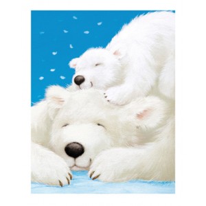 Fluffy  Bears II (09304)