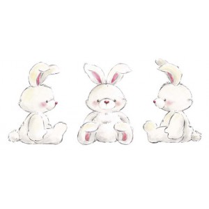 Rabbits (00796)