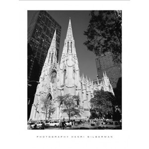 Saint Patrick's Cathedral (03983)