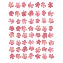 Eight Lines of Pink Flowers (04039)