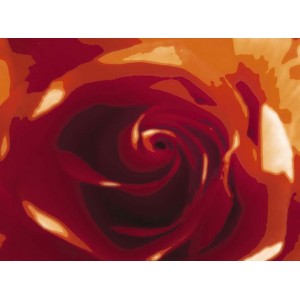 Rose Variation II (04065)