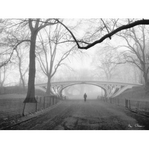 Gothic Bridge, Central Park (04074)