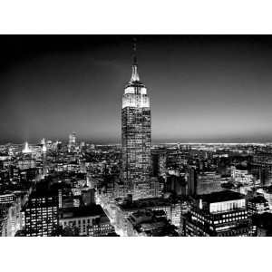 Empire State Building at Night (04109)